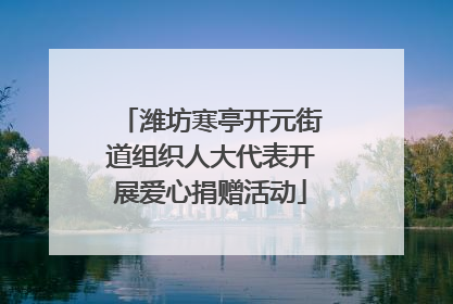 潍坊寒亭开元街道组织人大代表开展爱心捐赠活动